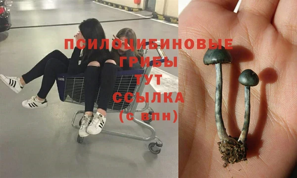 MDMA Premium VHQ Арсеньев