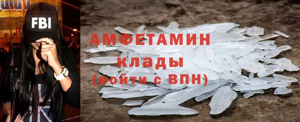 индика Медвежьегорск