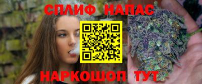 индика Волгодонск