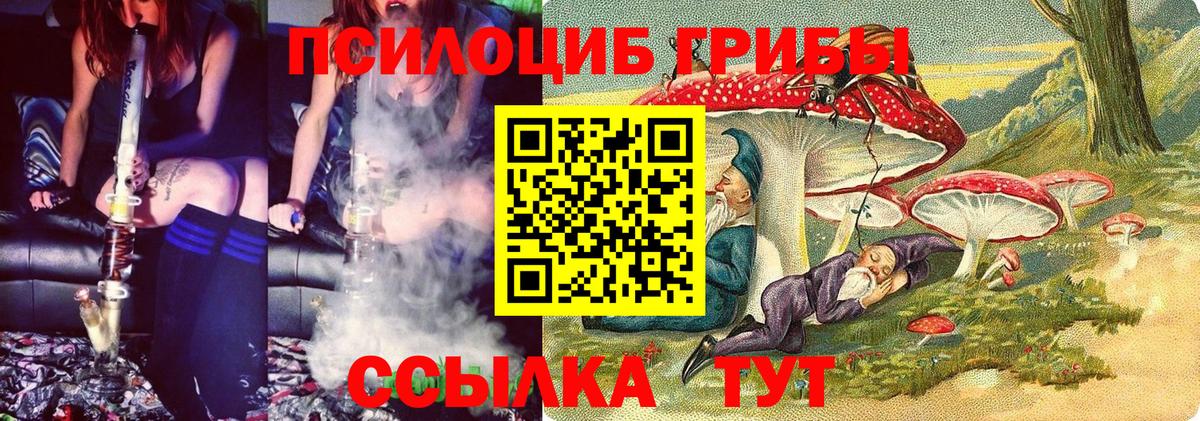 Майкоп  Галлюциногенные грибы MAGIC MUSHROOMS  Вход с VPN 