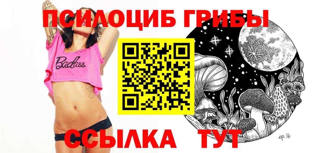 Галлюциногенные грибы Cubensis Майкоп