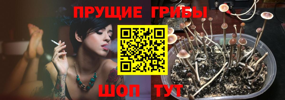 Псилоцибиновые грибы мухоморы Майкоп